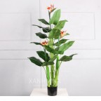 Cây Thiên Điểu Giả 150cm 3 hoa